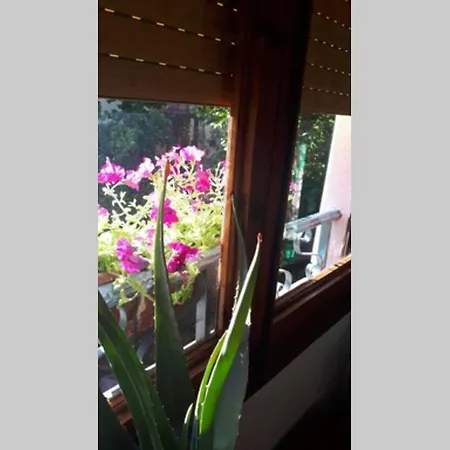 度假居 River House_casa Junto Al Rio